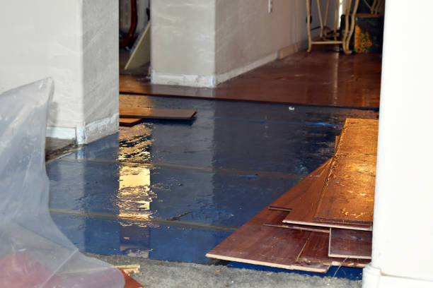 Professional Water Damage Restoration technician working in Eastlake, OH